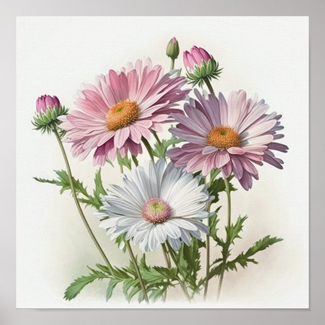 Pink English Daisy Blume Art Print Poster (Vorne)