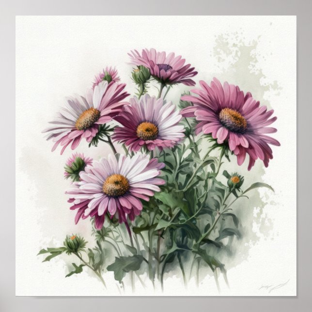 Pink English Daisy Blume Art Print Poster (Vorne)