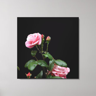PINK ENGLISH ROSE CANVAS DRUCKEN LEINWANDDRUCK