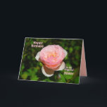 Pink English Rose Sister Happy Birthday Karte<br><div class="desc">Der Text der Karte,  den Sie ändern und personalisieren können. "Eine Schwester ist wie eine Rose ~ Beautiful,  aber achten Sie auf die Dornen! Nur ein Scherz über die Dornen! Viel Liebe an deinem Geburtstag!" Dies ist eine Vorlage,  die es einfach zu anpassen.</div>