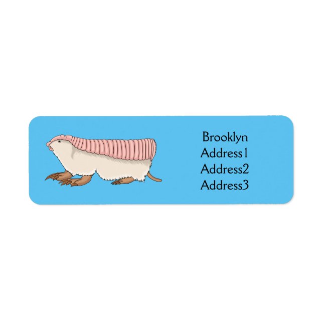 Pink fairy armadillo cartoon illustration (Vorne)