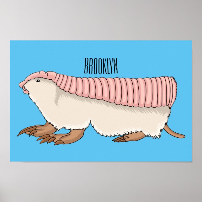 Pink fairy armadillo cartoon illustration poster (Vorne)
