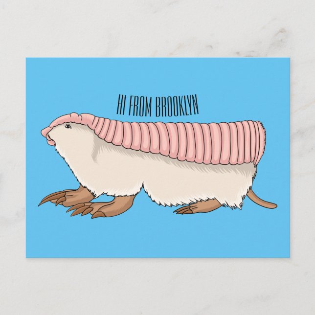 Pink fairy armadillo cartoon illustration postkarte (Vorderseite)