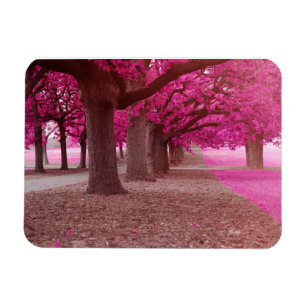 Pink Fantasy Park Magnet