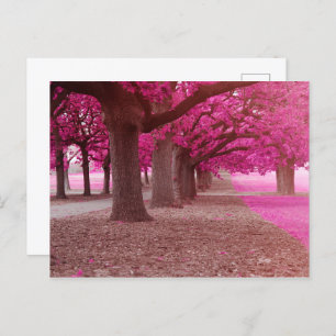 Pink Fantasy Park Postkarte