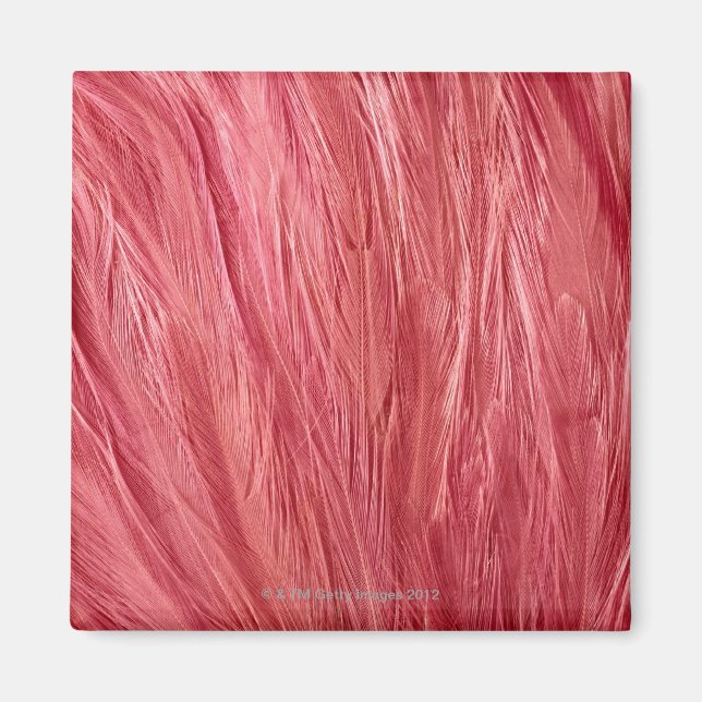 Pink Feathers Magnet (Vorne)