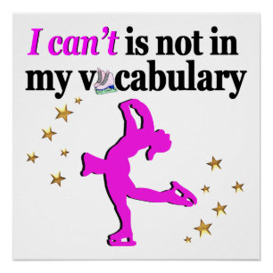 PINK FIGURE SKATEN GOALS AND DREAMS POSTER