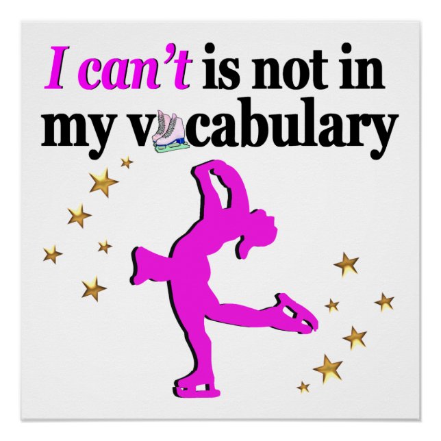 PINK FIGURE SKATEN GOALS AND DREAMS POSTER (Vorderseite)