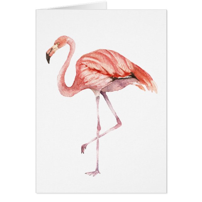 Pink Flamingo (Vorne)
