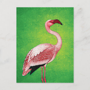 Pink Flamingo auf Retro Green Pattern Postkarte