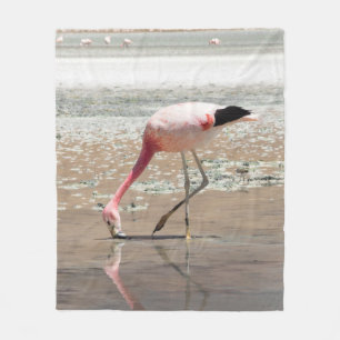 PINK FLAMINGO AUF WASSERKÖRPER FLEECEDECKE