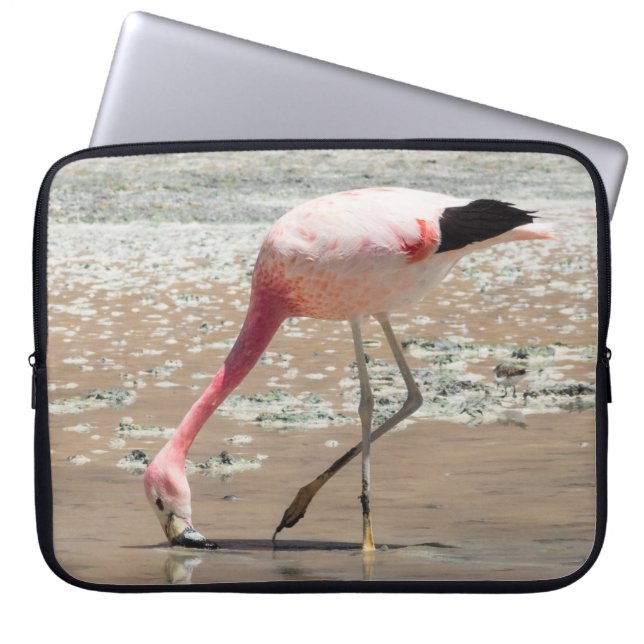PINK FLAMINGO AUF WASSERKÖRPER LAPTOPSCHUTZHÜLLE (Vorderseite)