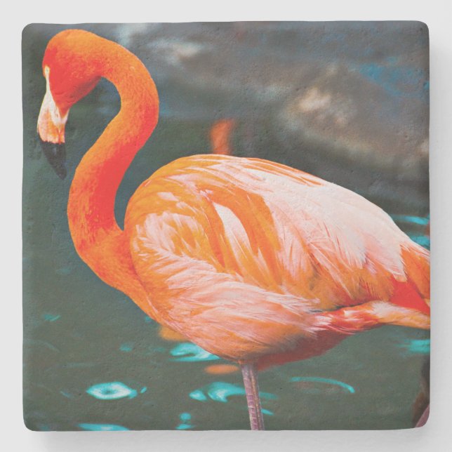 Pink Flamingo Bird Foto Beautiful Bold Modern Steinuntersetzer (Vorderseite)