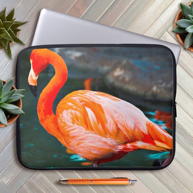 Pink Flamingo Bird Fotografie Schöne Moderne Laptopschutzhülle (Von Creator hochgeladen)