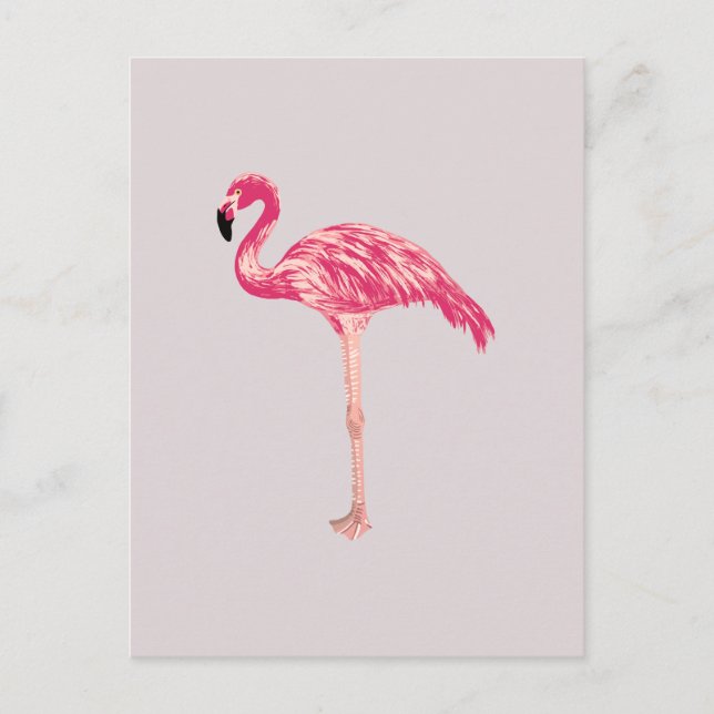 Pink Flamingo Bird Illustration Postkarte (Vorderseite)