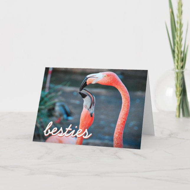 Pink Flamingo Birds Foto Besties Script Stilvoll Karte (Vorderseite)