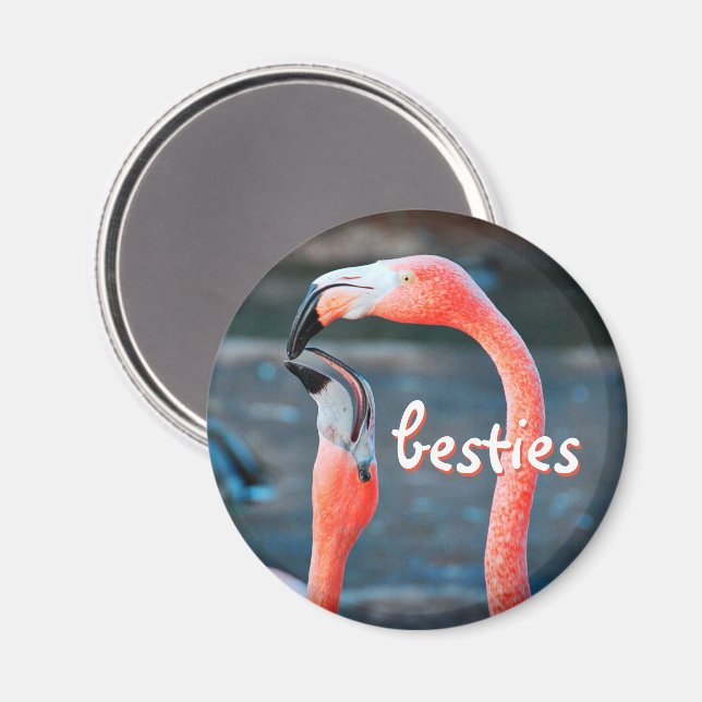 Pink Flamingo Birds Foto Besties Script Stilvoll Magnet (Vorderseite/Rückseite)