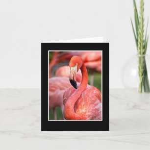 Pink Flamingo Blank Note Card Karte