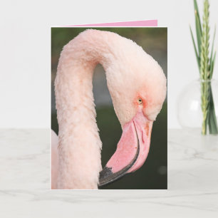 PINK FLAMINGO BLEIBE FABULOUS GEBURTSTAGSKARTE DANKESKARTE