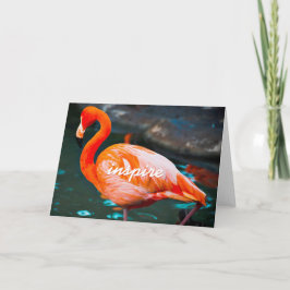 Pink Flamingo Foto Inspirierte Skript Stilvoll Mod Karte