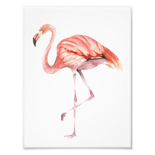 Pink Flamingo Fotodruck