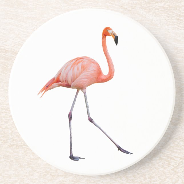 Pink Flamingo Getränkeuntersetzer (Vorne)