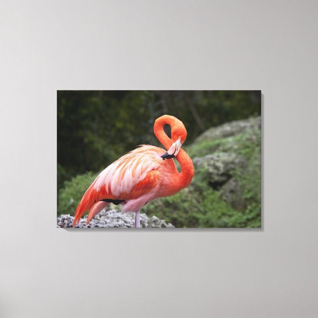 Pink Flamingo Leinwanddruck (Vorderseite)