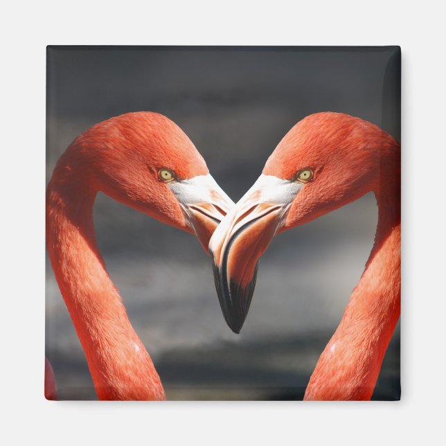 Pink Flamingo Liebe Magnet (Vorne)