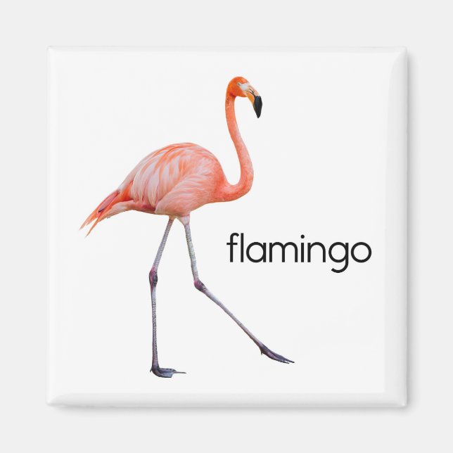 Pink Flamingo Magnet (Vorne)