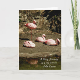 PINK FLAMINGO MITTEILUNGSKARTEN