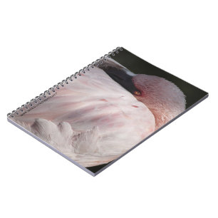 Pink Flamingo-Notebook Notizblock
