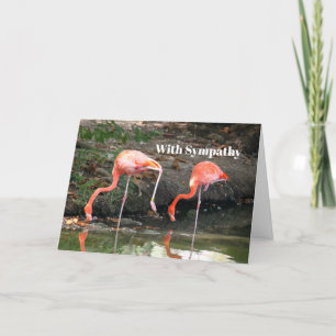 Pink Flamingo Pair Wildlife Foto Beileid Karte