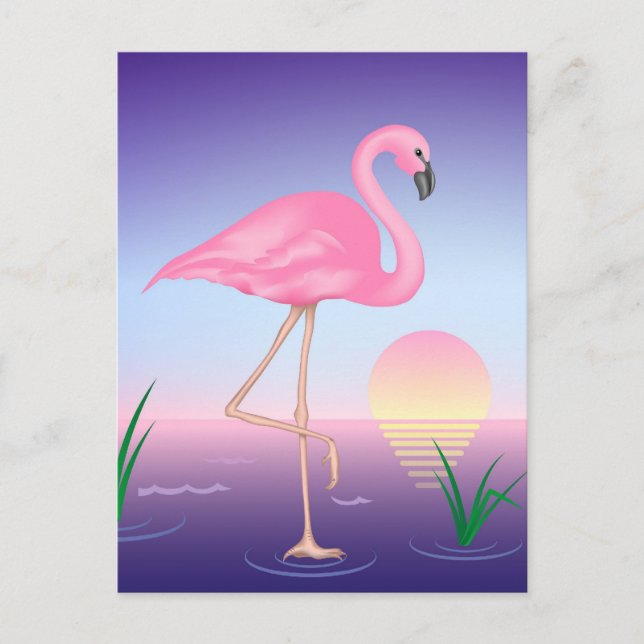Pink Flamingo Postkarte (Vorderseite)