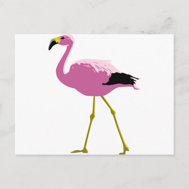 Pink Flamingo Postkarte (Vorderseite)