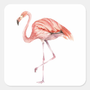 Pink Flamingo Quadratischer Aufkleber