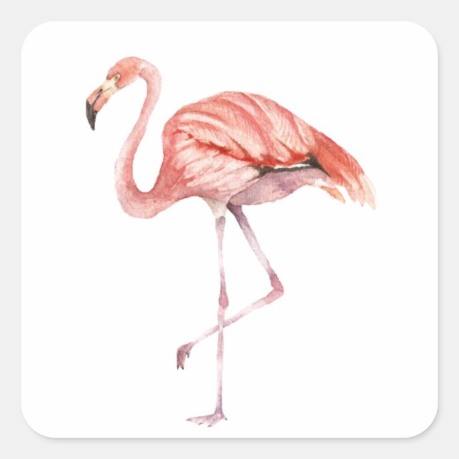 Pink Flamingo Quadratischer Aufkleber (Vorderseite)