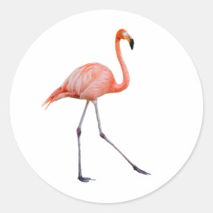 Pink Flamingo Runder Aufkleber