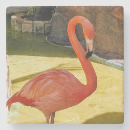 Pink Flamingo Steinuntersetzer