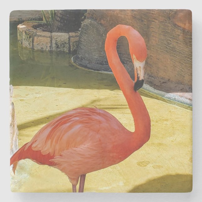 Pink Flamingo Steinuntersetzer (Vorderseite)