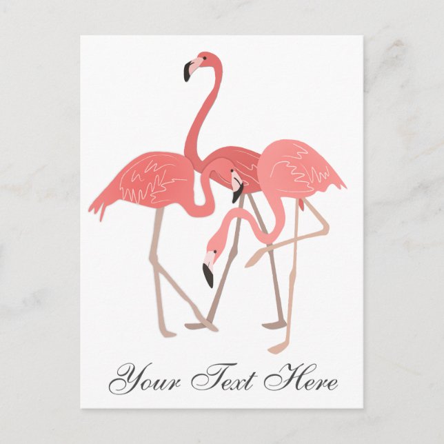 Pink Flamingo Trio Postkarte (Vorderseite)