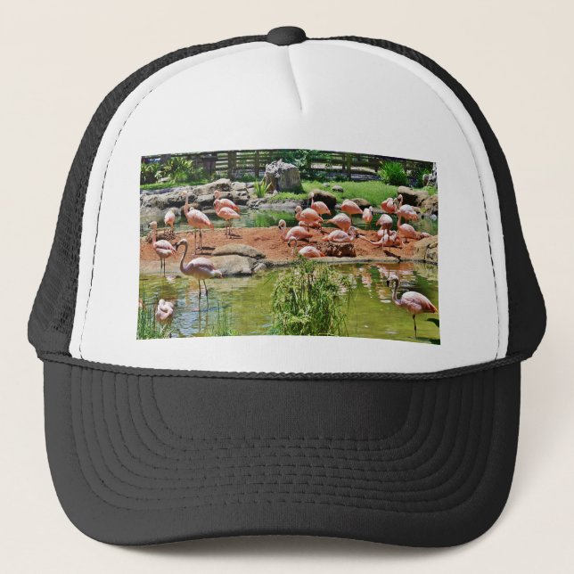 Pink Flamingo Truckerkappe (Vorderseite)