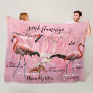 Pink Flamingo Typografie Angepasst Fleecedecke