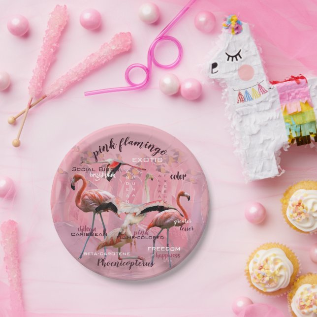 Pink Flamingo Typografie | Angepasst Pappteller (Party)