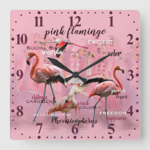 Pink Flamingo Typografie   Angepasst Quadratische Wanduhr