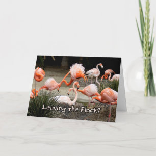 Pink Flamingo Verlasst die Flock Farewell Card Karte