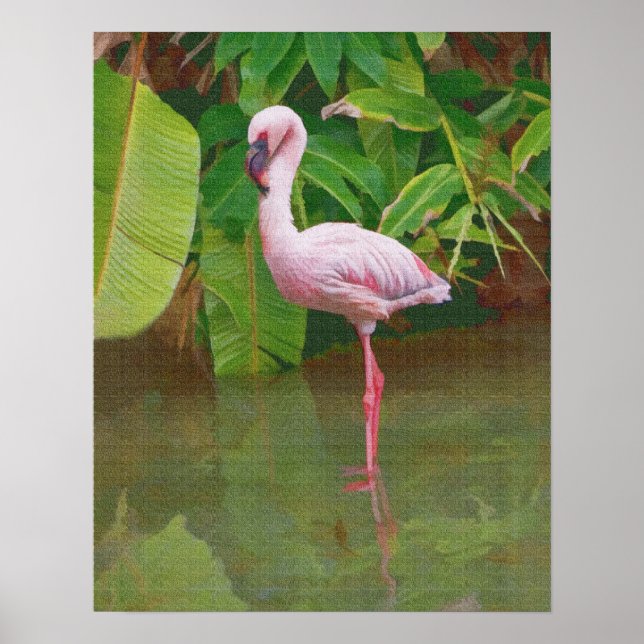 Pink Flamingo Wading Poster (Vorne)
