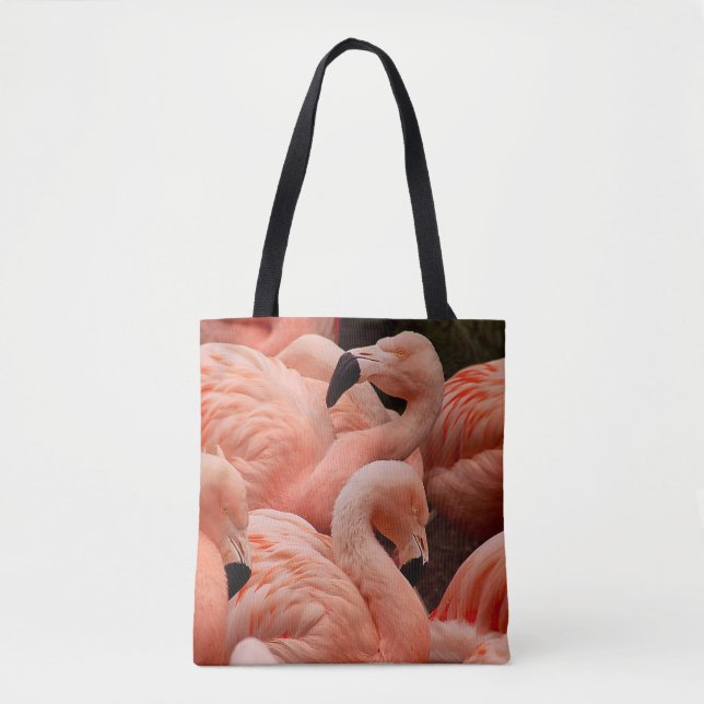 Pink Flamingos (Vorderseite)