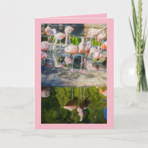 Pink Flamingos Blank Grußkarte Karte