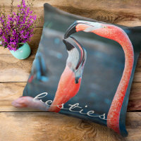 Pink Flamingos Foto Besties Script Bold Modern