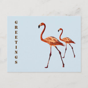Pink Flamingos Grüße Postkarte